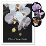 Orchids on Black Personalized Note Cards