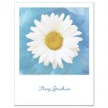 Photographic Daisy  Personalized  Note Cards