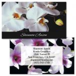 Orchids on Black Double-Sided Business Cards