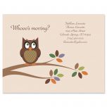 Owl  Postcards