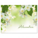 Jasmine Personalized Note Cards