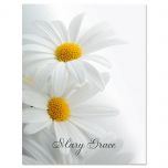 White Marguerite Personalized Note Cards