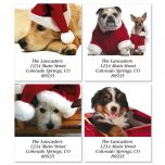 Christmas Dogs Address Labels  (4 designs)