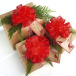 Red Organza Pull Bows