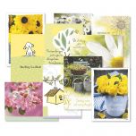 Get Well Greeting Card Value Pack