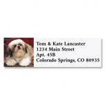 Shih Tzu Classic Address Labels