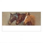 Thoroughbred Trio Deluxe Address Labels