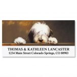Bearded Collie  Deluxe Address Labels