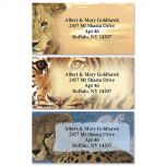 Big Cats Border Address Labels  (3 Designs)