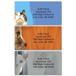 Faces of Cats Border Address Labels  (3 Designs)