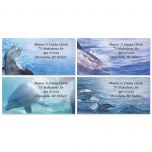 Dolphins at Play Border Address Labels  (4 Designs)