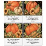 Pumpkin Harvest Select Return Address Labels  (4 Designs)
