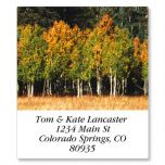 Autumn Colors Select Address Labels  (24 Designs)