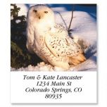 Owls Select Address Labels  (12 Designs)