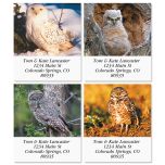 Owls Select Address Labels (12 Designs)