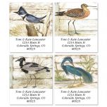 Seabirds Select Address Labels  (4 Designs)