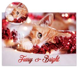 Holiday Kitten Christmas Cards - Personalized