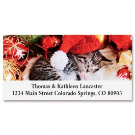 Cozy Kitten Deluxe Return Address Labels