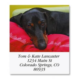42 Personalised Christmas Return Address Labels/Stickers-No 1 Dachshund Smooth 