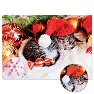Cozy Kitten Christmas Cards