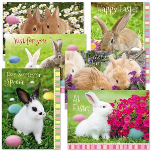 Photo Bunny Cards