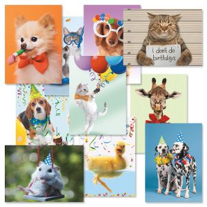 Picture This™ Birthday Greeting Cards Value Pack