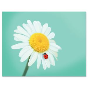 Daisy & Ladybugs Note Cards