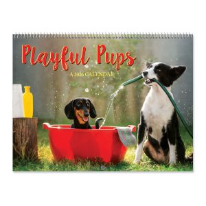 Playful Pups 2026 Wall Calendar
