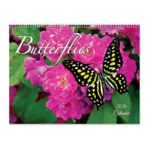Butterflies 2026 Wall Calendar