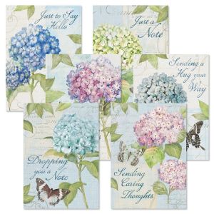 Hydrangea Thinking of You Value Pack