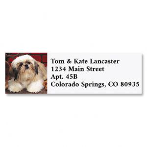 Shih Tzu  Classic Address Labels