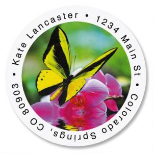 Milkweed Butterfly Round Return Address Labels