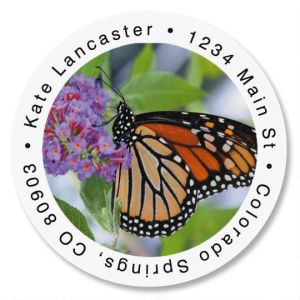 Monarch Butterfly Round Return Address Labels