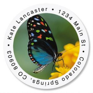 Dotted Butterfly Round Address Labels