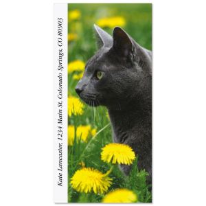 Dandy Cat  Oversized Return Address Labels