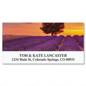 Sunset And English Lavender Deluxe Return Address Labels