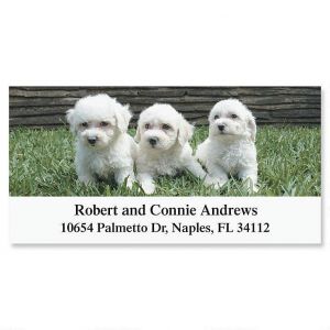 Bichon Deluxe Return Address Labels