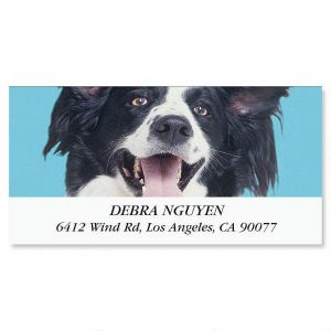 I Love My Black & White Mutt Deluxe Return Address Labels