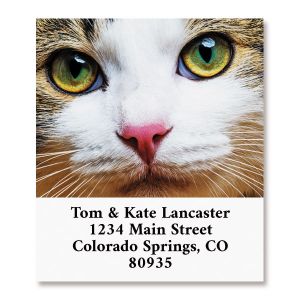 Cat Face Select Return Address Labels