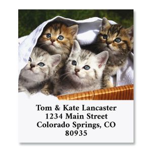 Kitten Basket Select Return Address Labels
