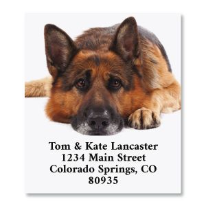 Dog Daze Select Return Address Labels