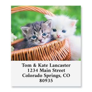 Kittens in Basket Select Return Address Labels