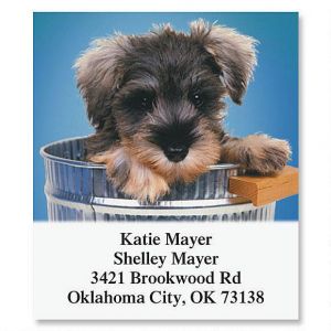 Dog Gone Cute Select Return Address Labels