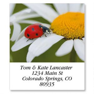 Visitor Select Return Address Labels