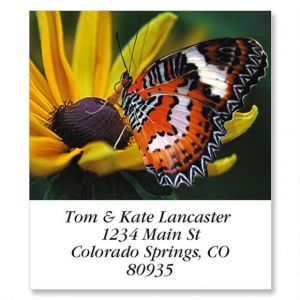 Malay Lacewing Select Return Address Labels