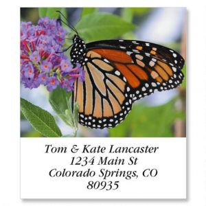 Monarch Butterfly Select Return Address Labels