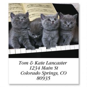 Grey Tunes Select Return Address Labels