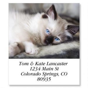 Old Blue Eyes Select Return Address Labels