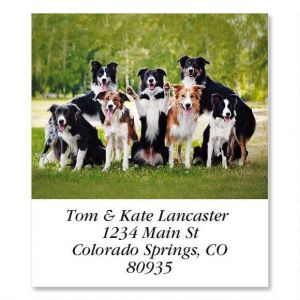 Happy Dogs  Select Address Labels