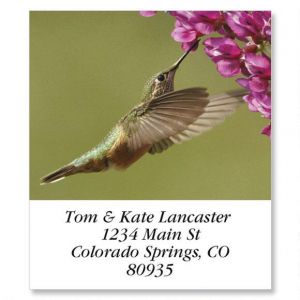 Calliope Hummingbird  Select Return Address Labels